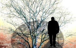 anziano albero