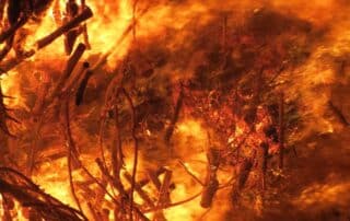 Inferno
